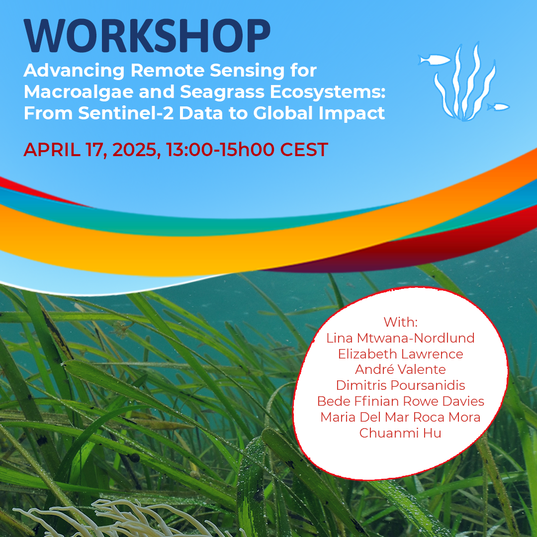 Workshop Advancing Remote Sensing for Macroalgae and Seagrass Ecosystems: From Sentinel-2 Data to Global Impact