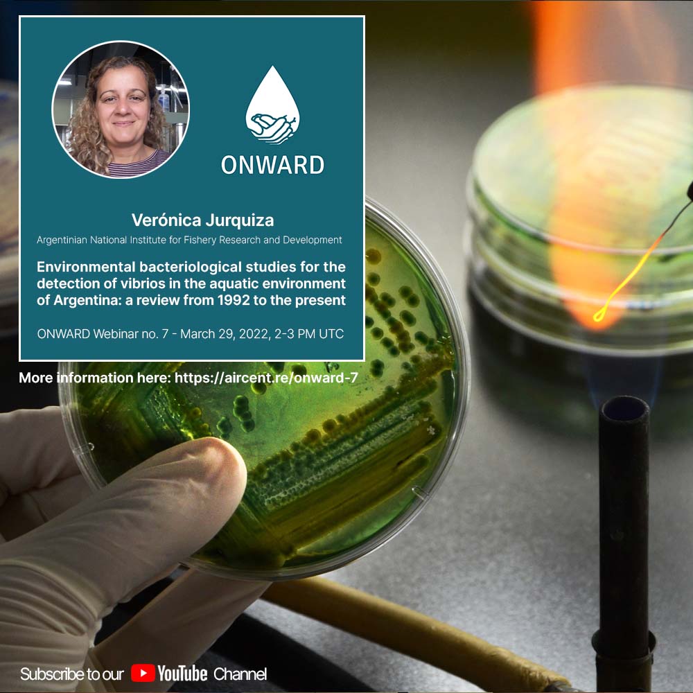 ONWARD Webinar no. 7 with Verónica Jurquiza (INIDEP, Argentina): Environmental bacteriological studies for the detection of vibrios in the aquatic environment of Argentina.  A review from 1992 to the present