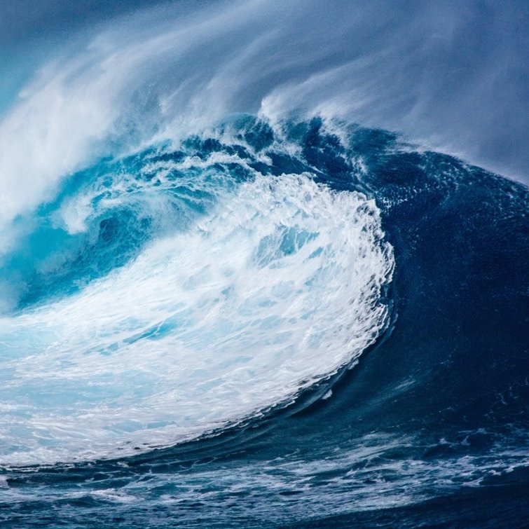 Networking Friday with GEO Blue Planet