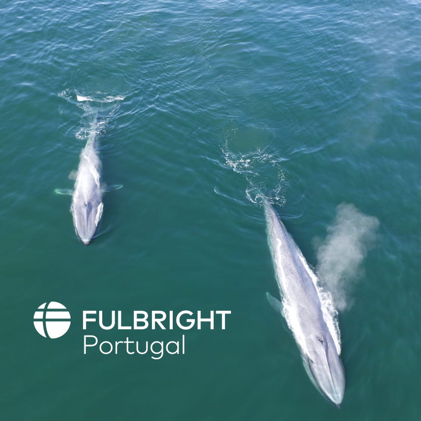 Networking Friday with the Fulbright Portugal Program