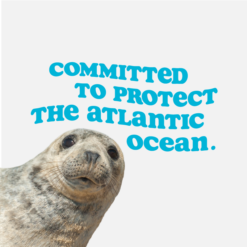 Networking Friday on the All-Atlantic Pledging Campaign