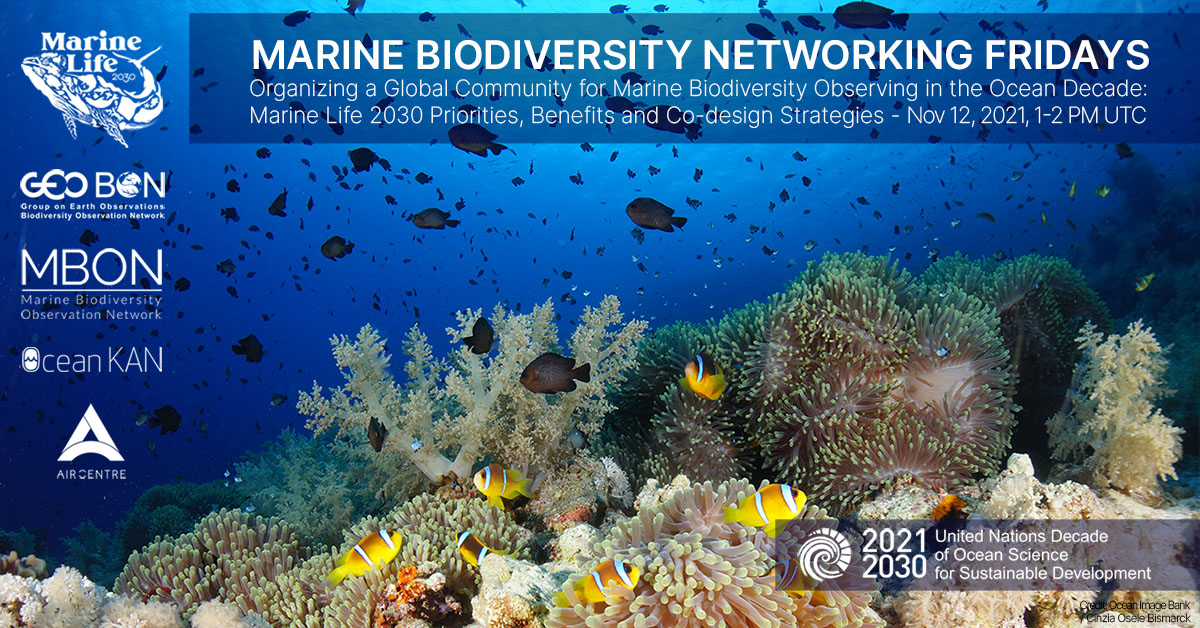 Marine Biodiversity Networking Fridays