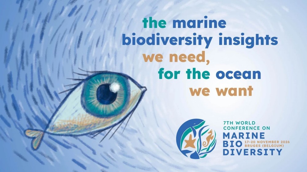 Bruges to host 7th World Conference on Marine Biodiversity in 2026