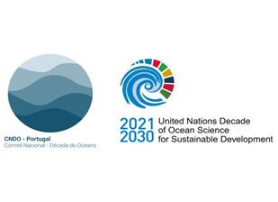 The AIR Centre joins the Portuguese National Committee’s stakeholder Forum for the UN Ocean Decade