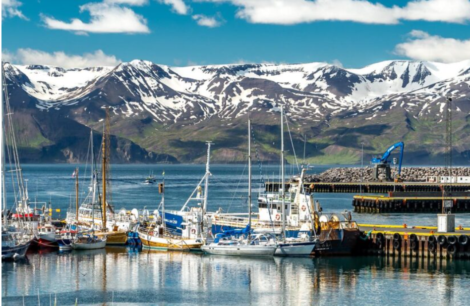 BioProtect Open Call: €100,000 Grants for Marine Conservation Innovation