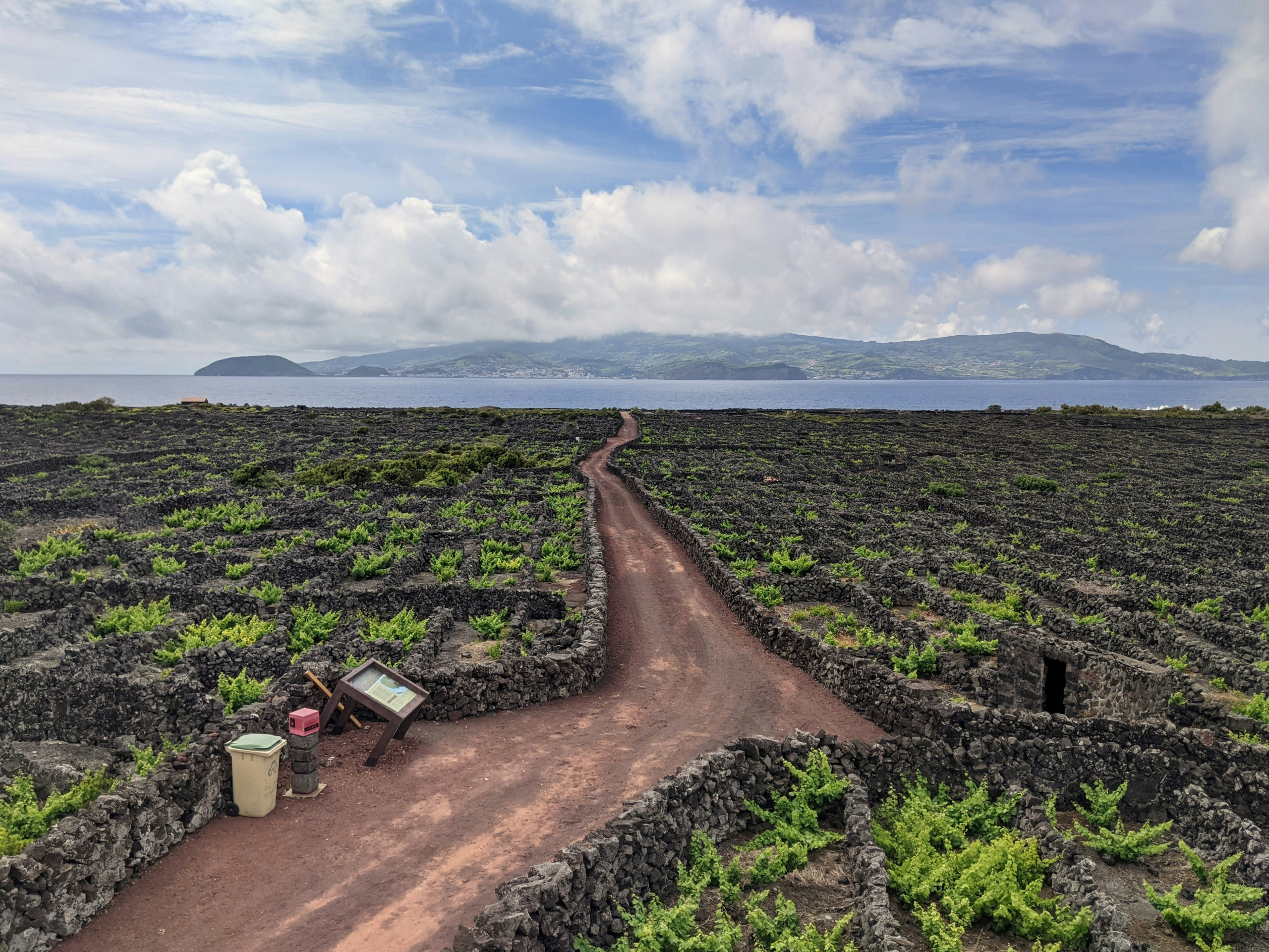 Digital Innovation Meets Tradition in Terceira’s Vineyards: A Spotlight on the Vinhas da Terceira Project